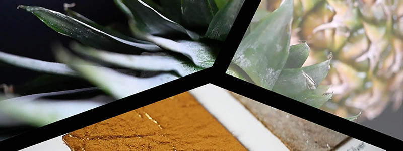 pinatex-derivato-dallananas